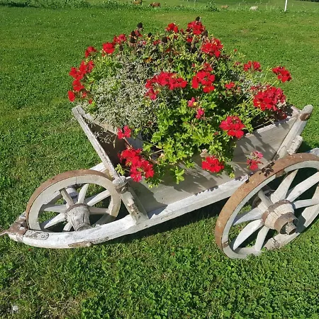 Koeck Kartitsch